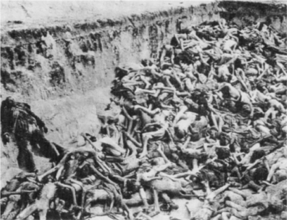 Typhus Victime in Mass Grave at Bergen-Belsen