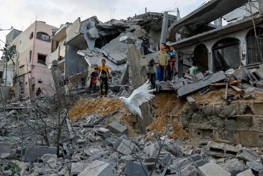 Dove flying over the rubble of Gaza