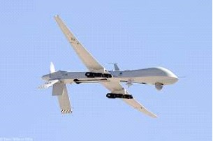 Predator Drone