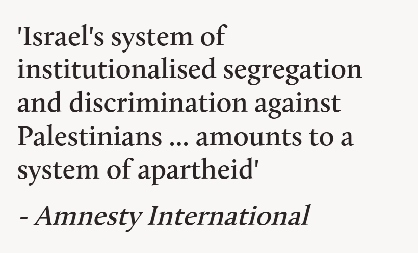 Amnesty International quote on Israeli Apartheid