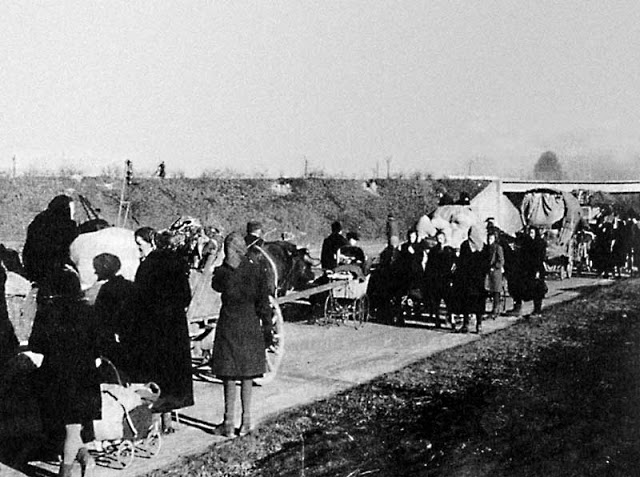 Expelled Germans, Wroclaw 1945-46